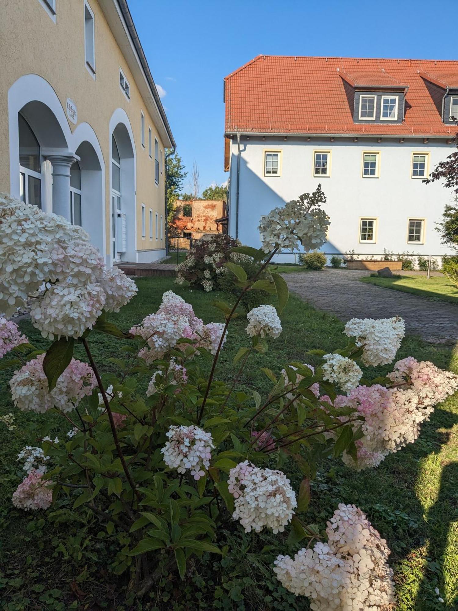Hof Gruebler Lejlighed Klipphausen Eksteriør billede